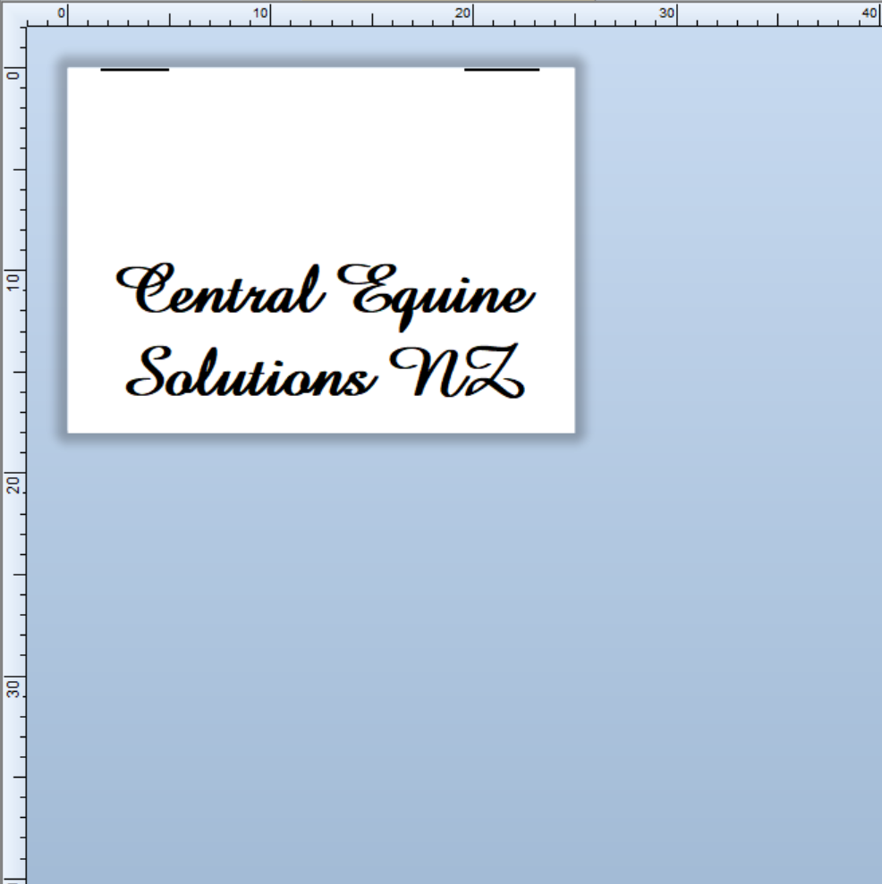 CUSTOM LABELS / Tui Willson